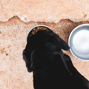 Product Feature Image
